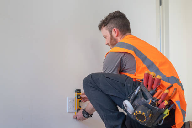 Best Electric Panel Repair  in Parkersburg, IA